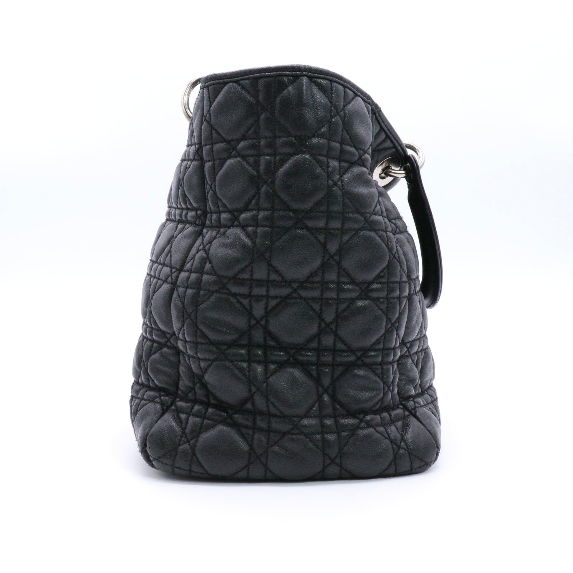 Soft Lady Dior Tote twins