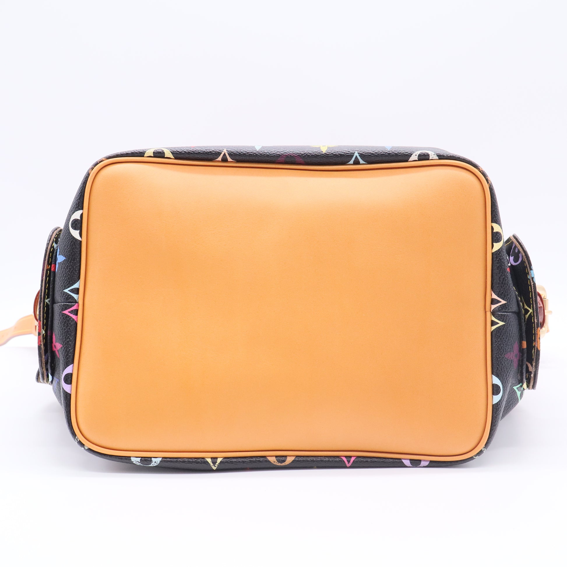 Monogram Multicolor Petit Noe Black