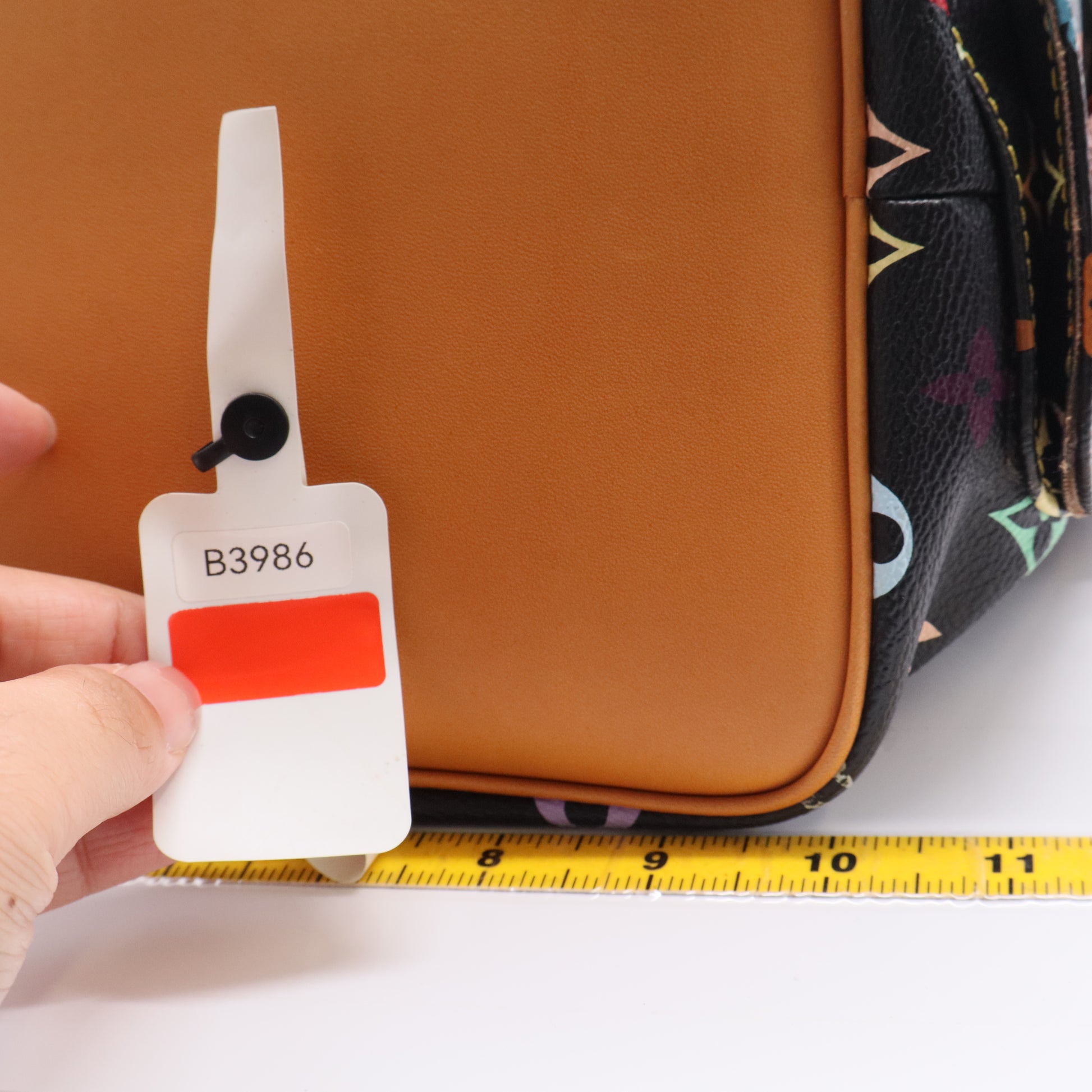 Monogram Multicolor Petit Noe Black