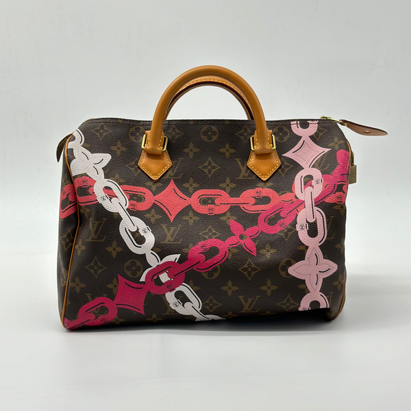 Louis Vuitton Speedy Handbag Limited Edition Bay Monogram Canvas 30