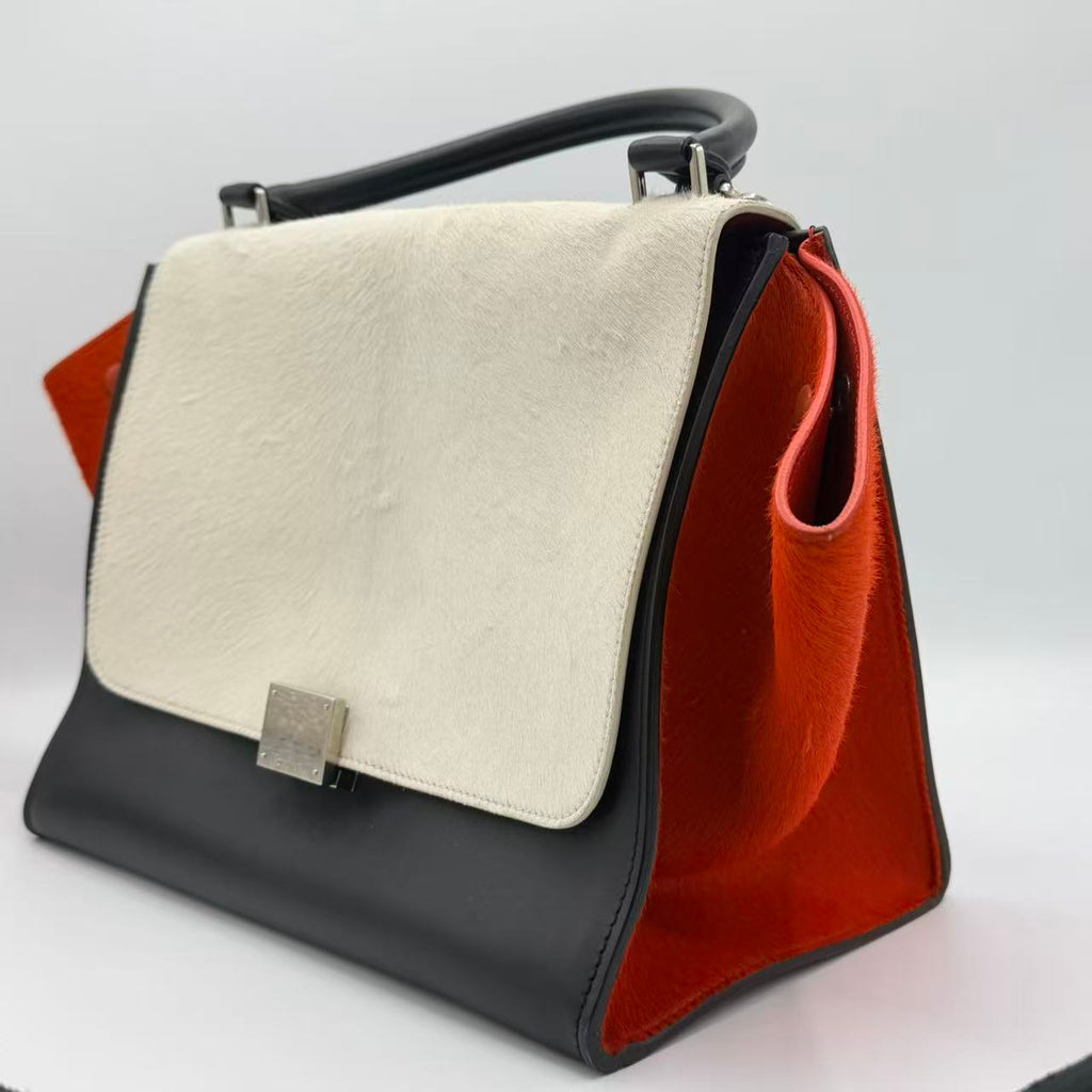 Multicolor Calf Hair and Leather Medium Trapeze Top Handle Bag