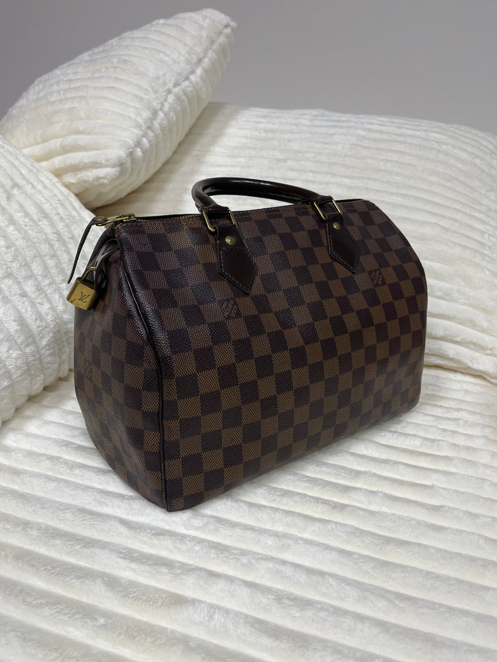 Speedy Handbag Damier 30
