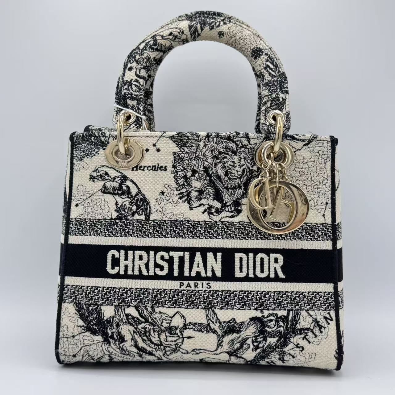 Christian Dior  Canvas Embroidered Zodiac Toile De Jouy Medium Lady D-Lite