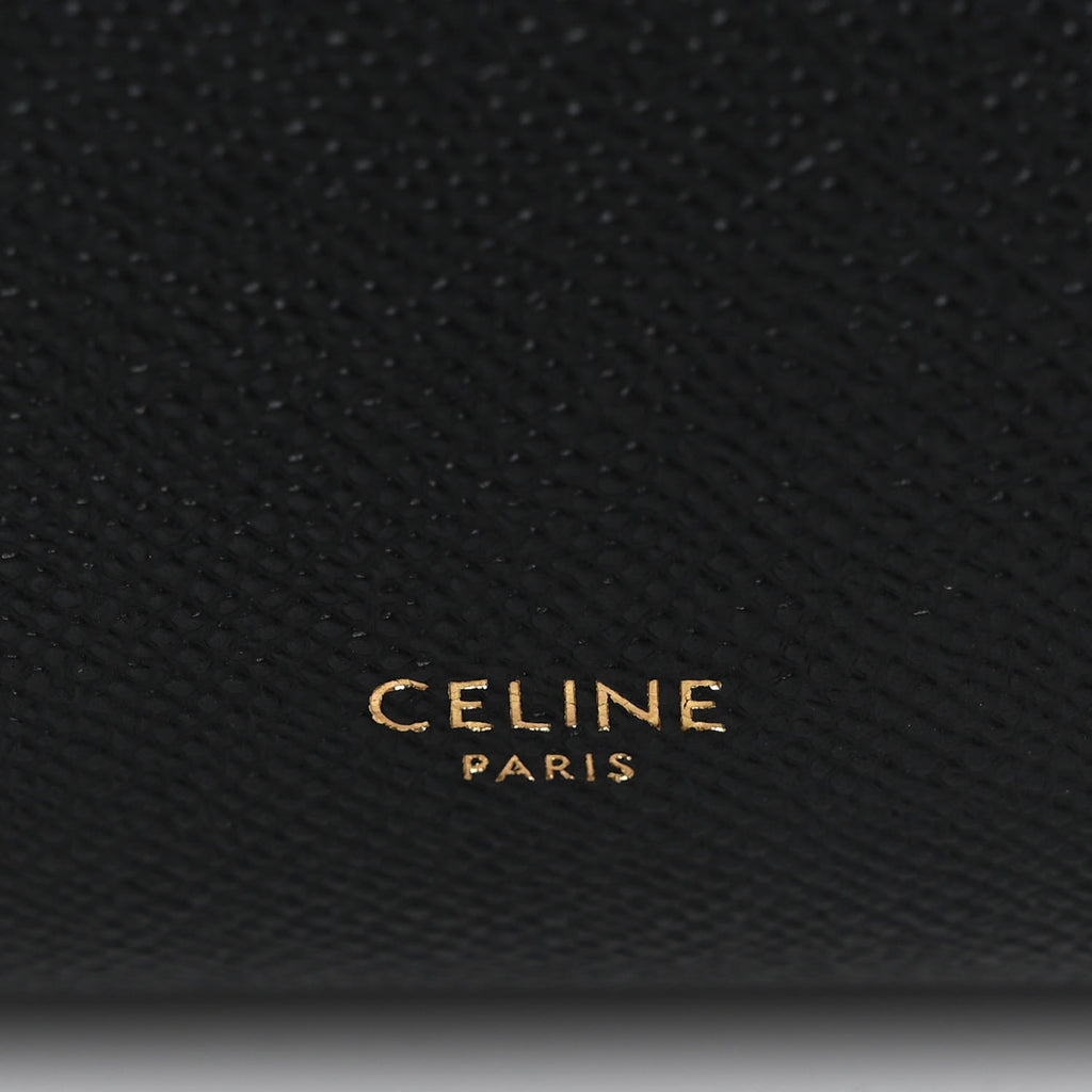 Grained Calfskin Micro Belt Bag Black twins