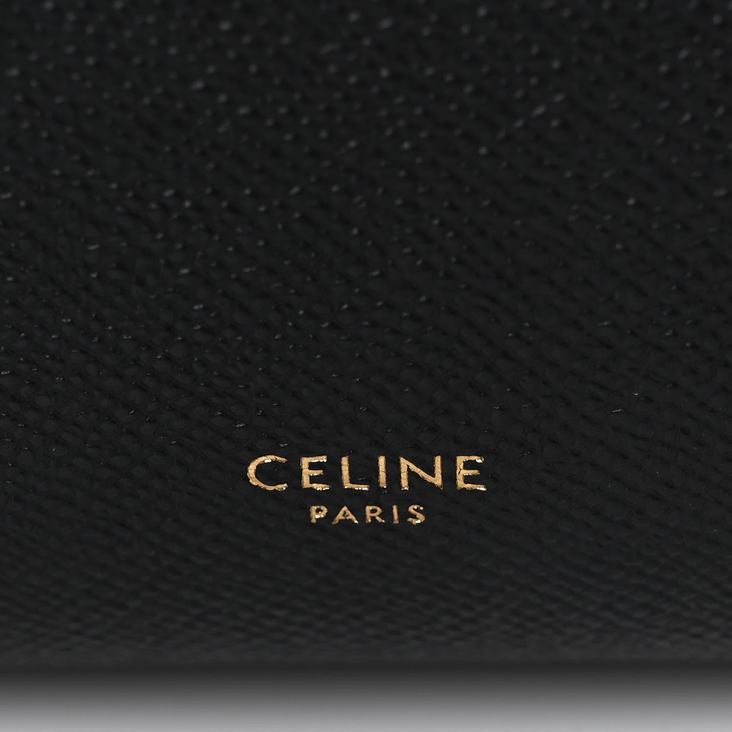 Grained Calfskin Micro Belt Bag Black twins