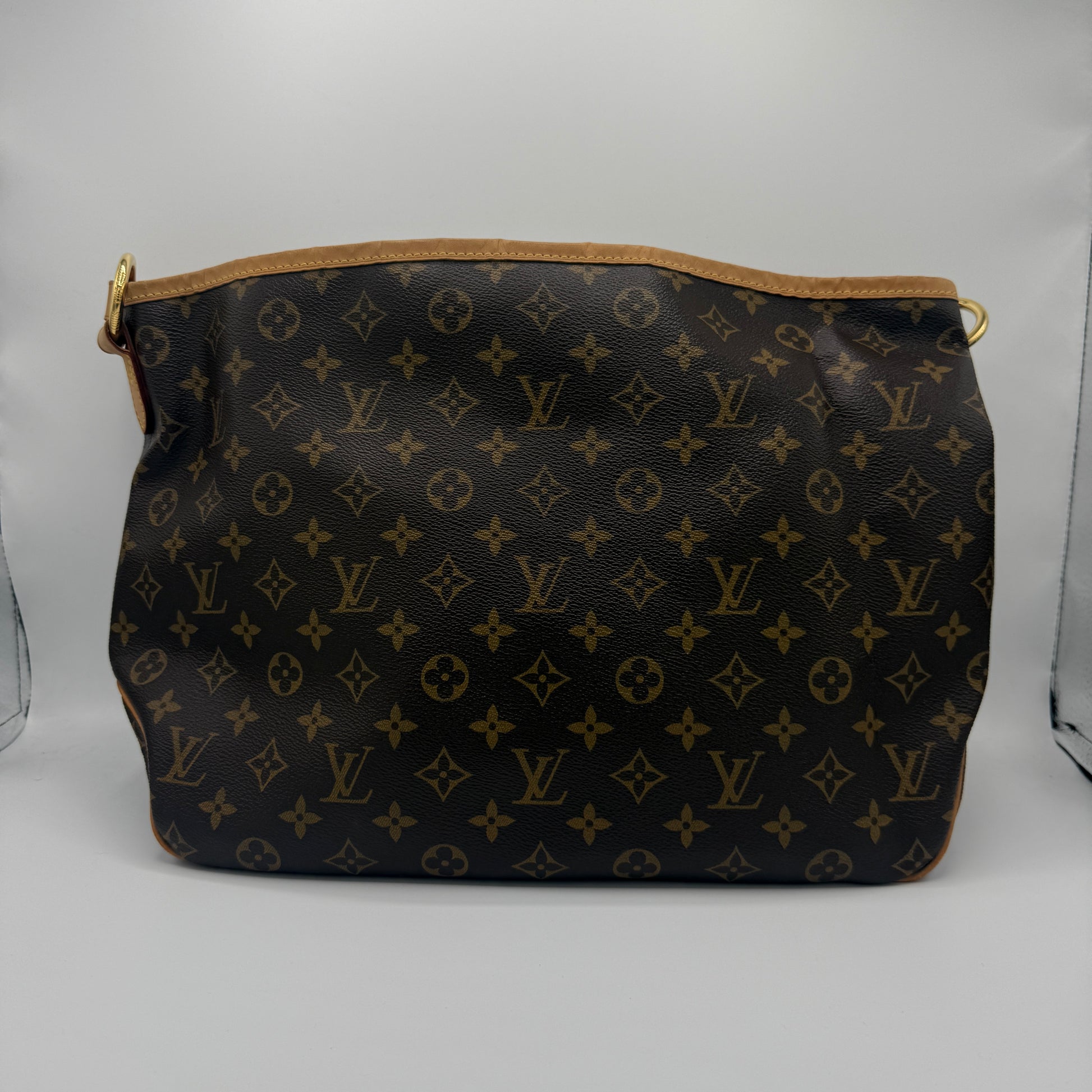Delightful Handbag Monogram Canvas PM