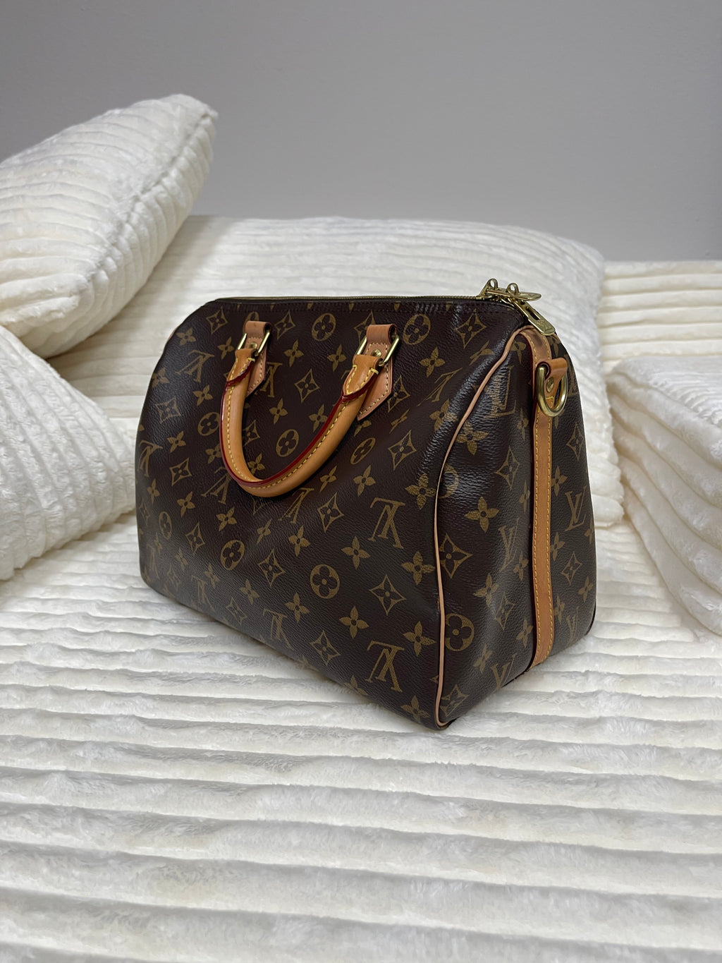 Louis Vuitton Speedy Handbag Monogram Canvas 30