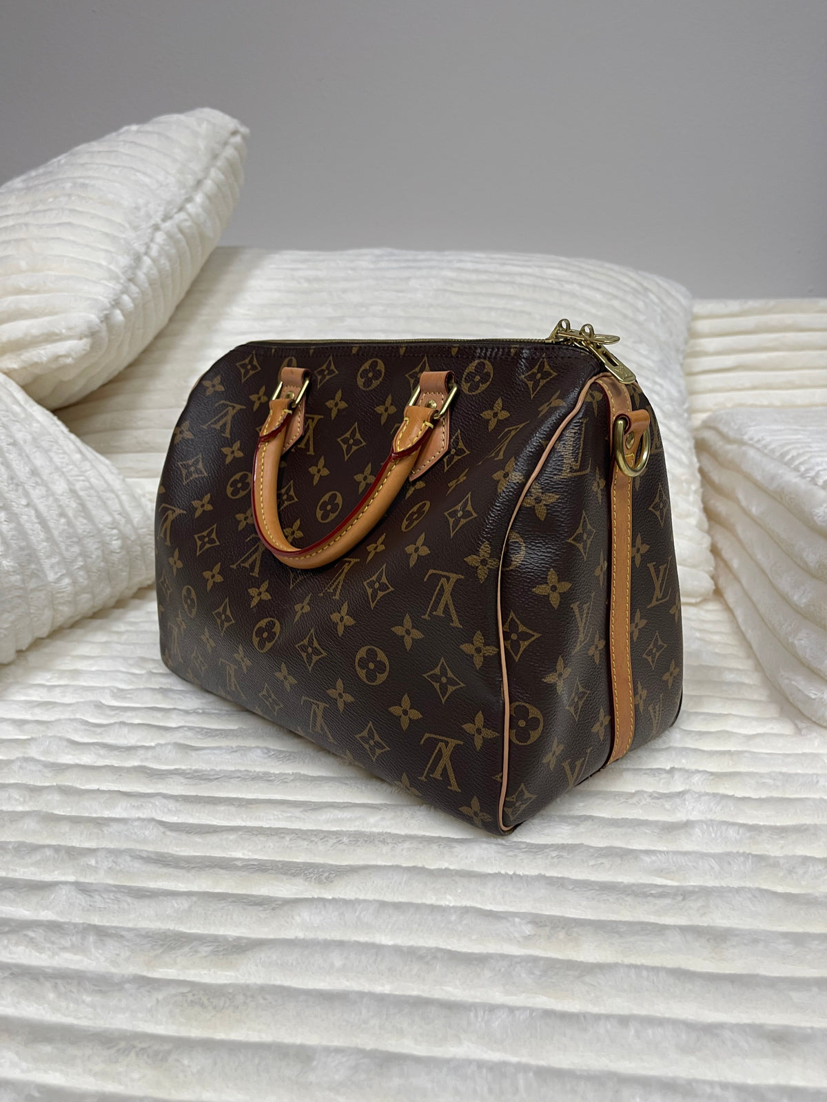 Louis Vuitton Speedy Handbag Monogram Canvas 30