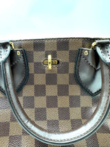 Normandy Handbag Damier