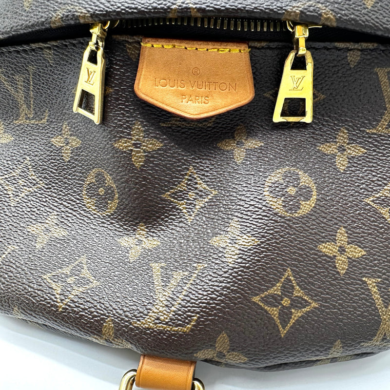 LOUIS VUITTON Monogram Bum Bag