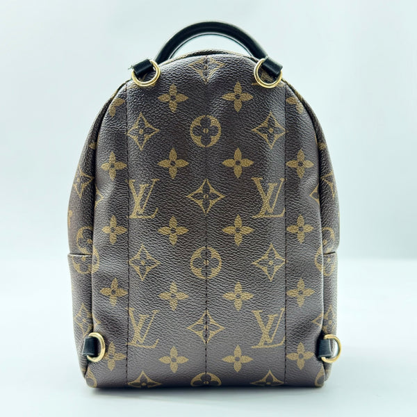 Louis Vuitton World Tour Monogram Canvas Mini Palm Springs Backpack