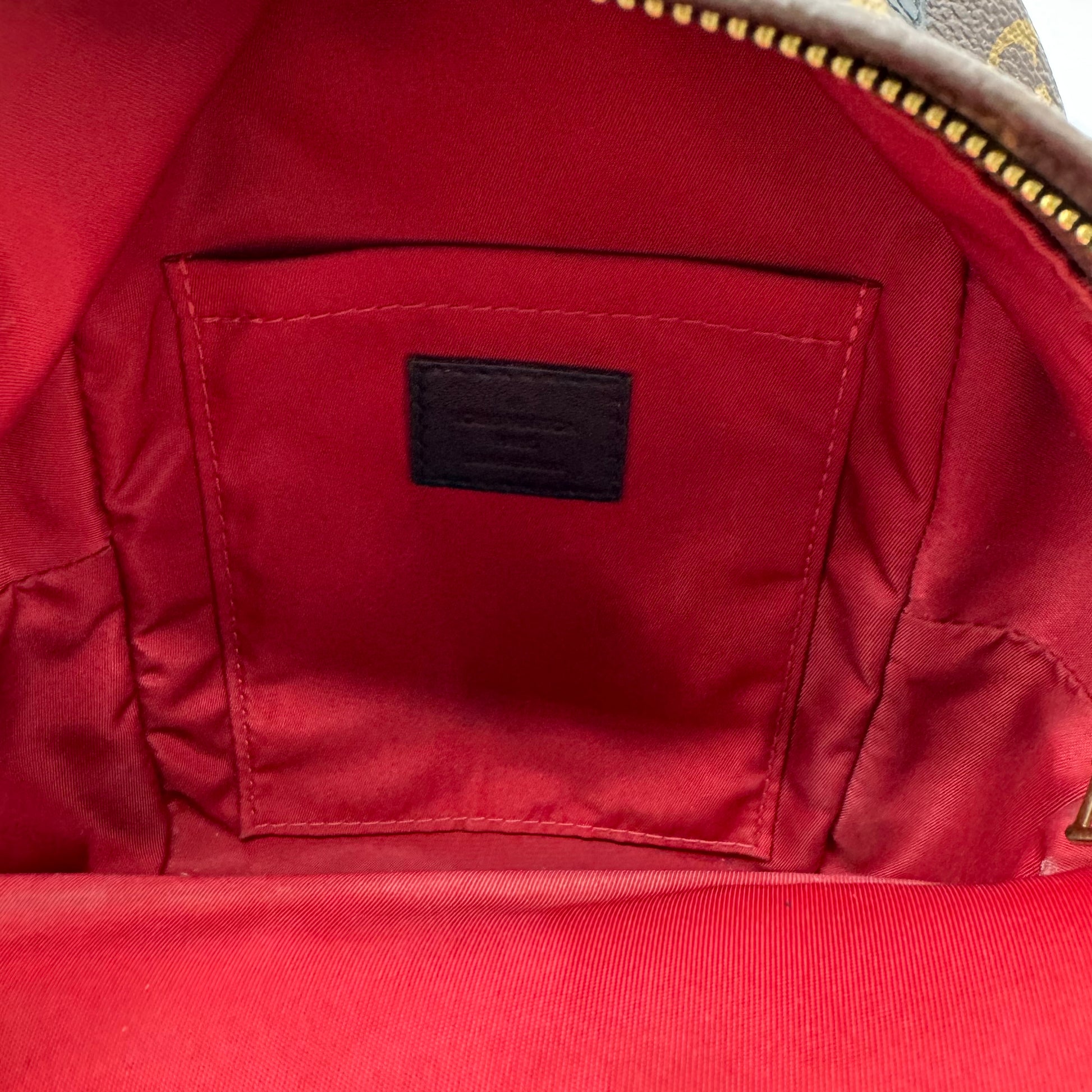 Louis Vuitton World Tour Monogram Canvas Mini Palm Springs Backpack
