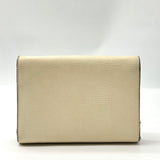 Dollar Calfskin Mini Dionysus Chain Wallet Mystic White