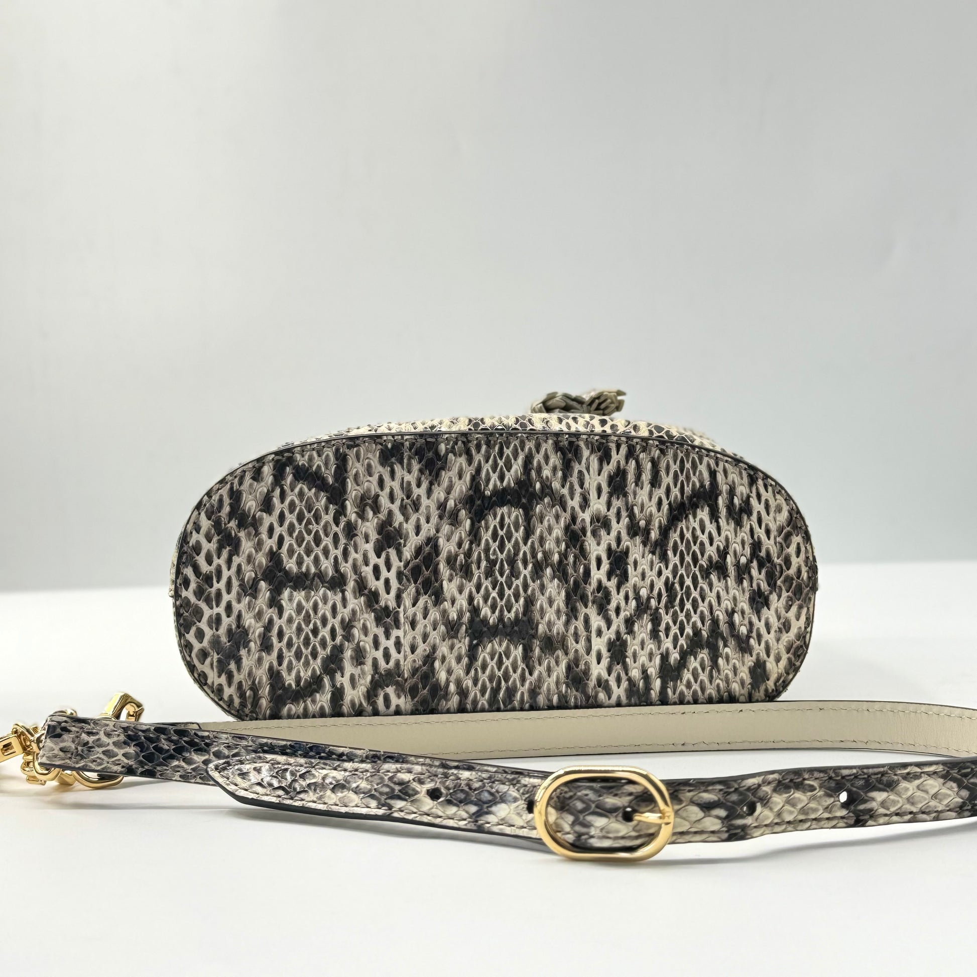 Gucci Ophidia Python Bucket Bag