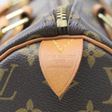 Louis Vuitton Speedy Handbag Monogram Canvas 30