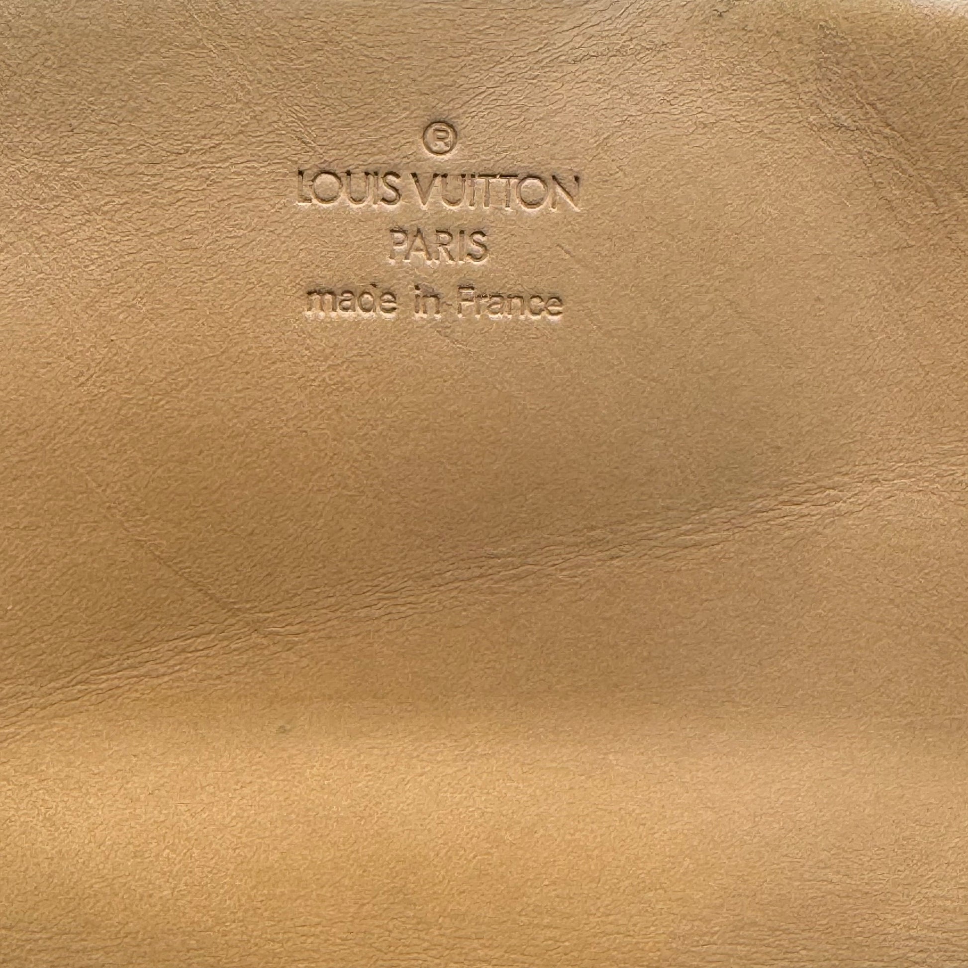 Sologne Handbag Monogram Multicolor