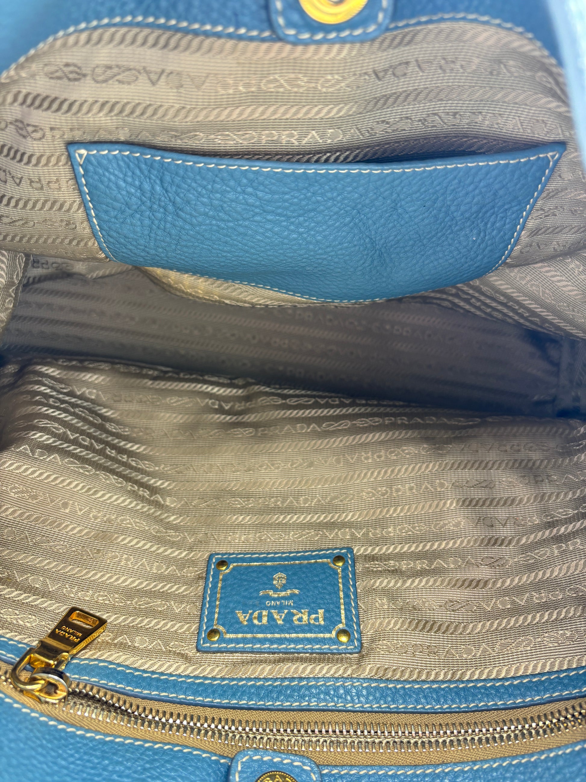 Prada Vitello Daino Hobo Bag