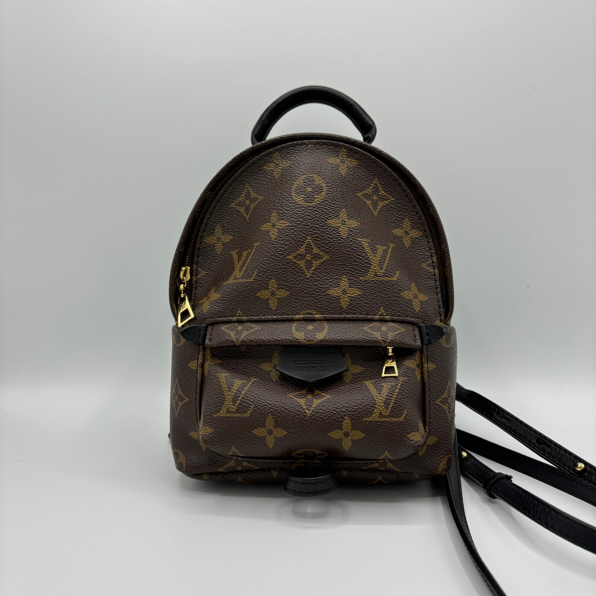 Louis Vuitton Palm Springs Backpack Monogram Canvas Mini