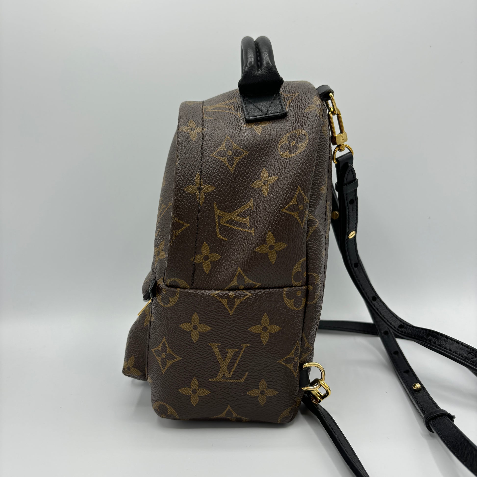 Louis Vuitton Palm Springs Backpack Monogram Canvas Mini