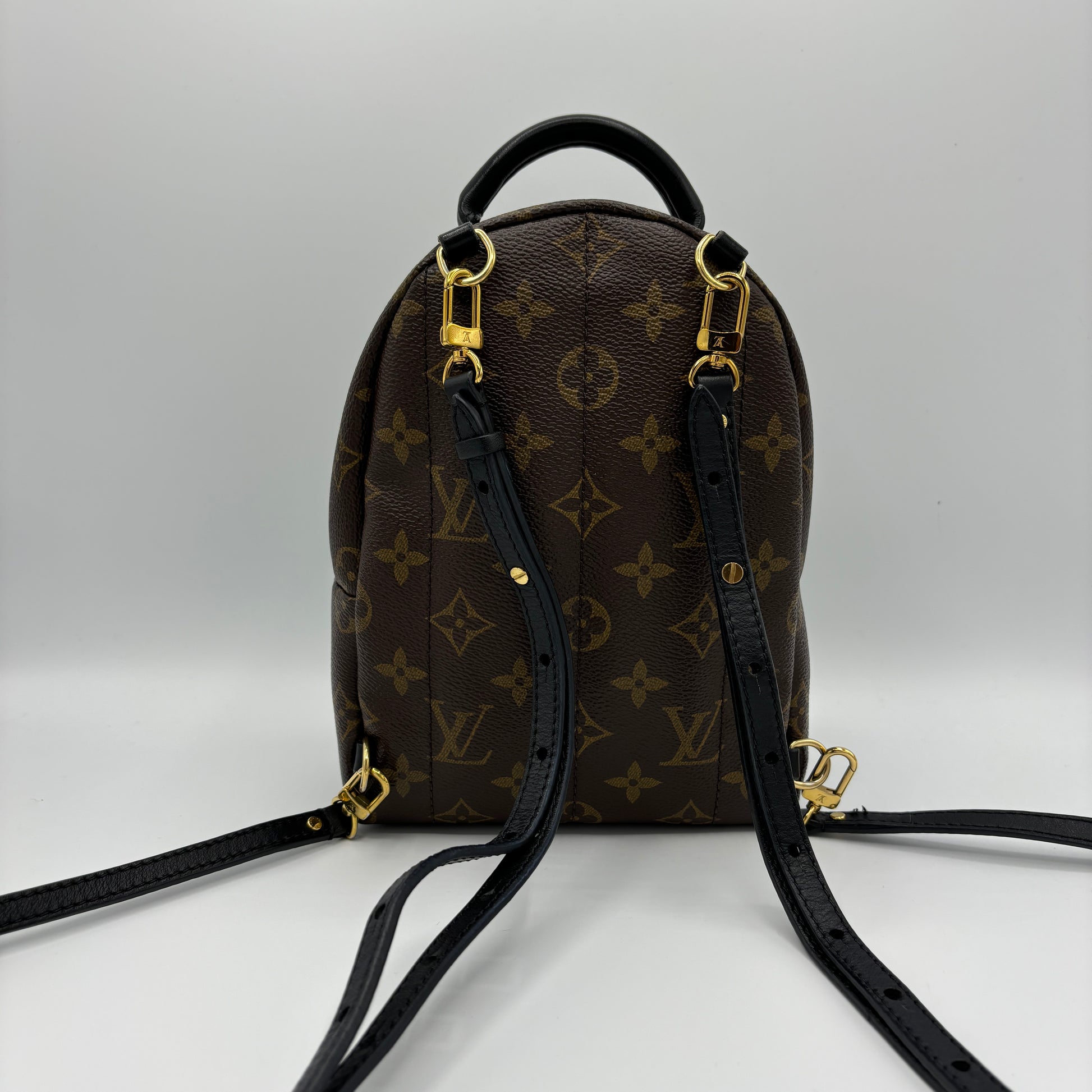 Louis Vuitton Palm Springs Backpack Monogram Canvas Mini
