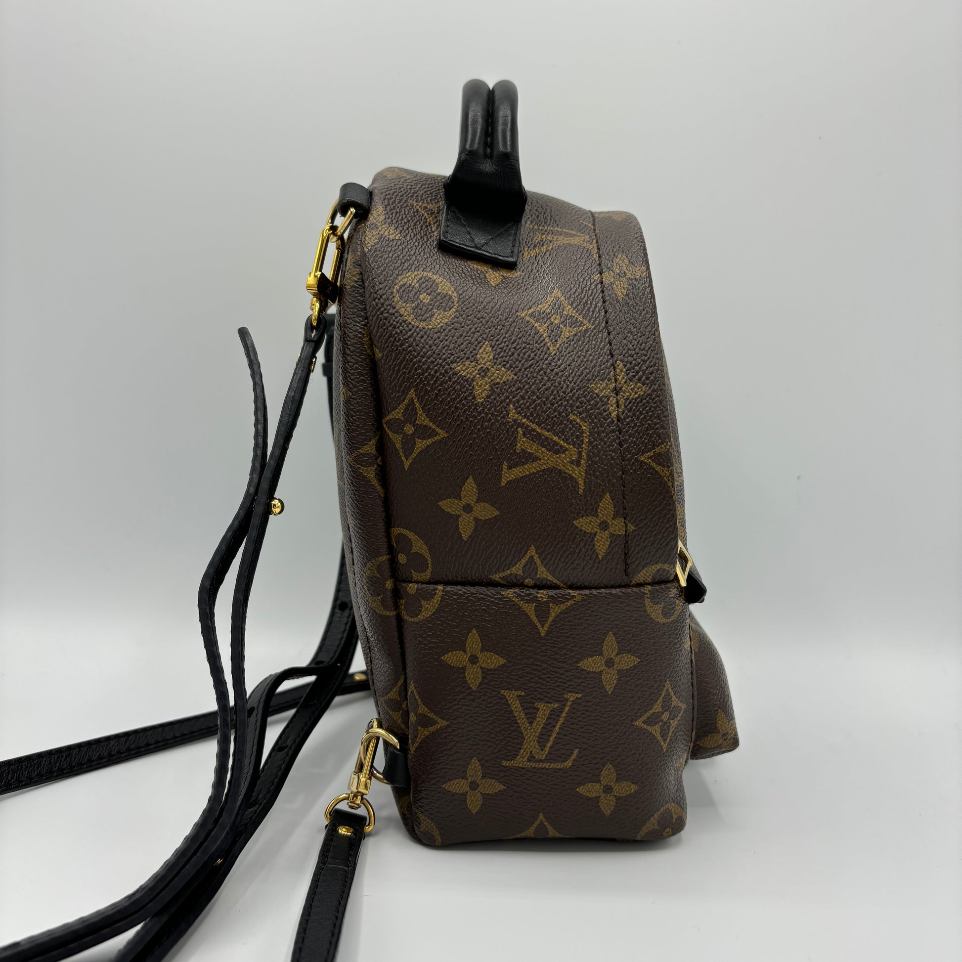 Louis Vuitton Palm Springs Backpack Monogram Canvas Mini