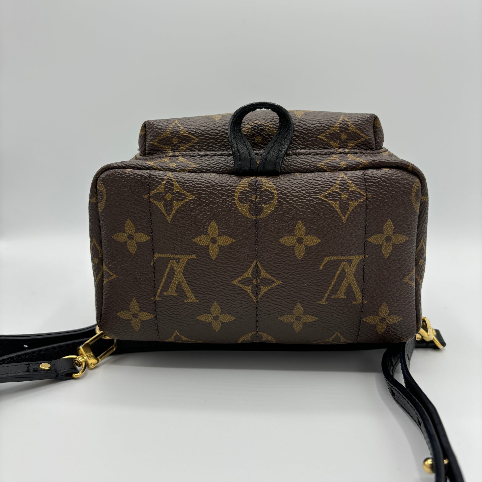 Louis Vuitton Palm Springs Backpack Monogram Canvas Mini