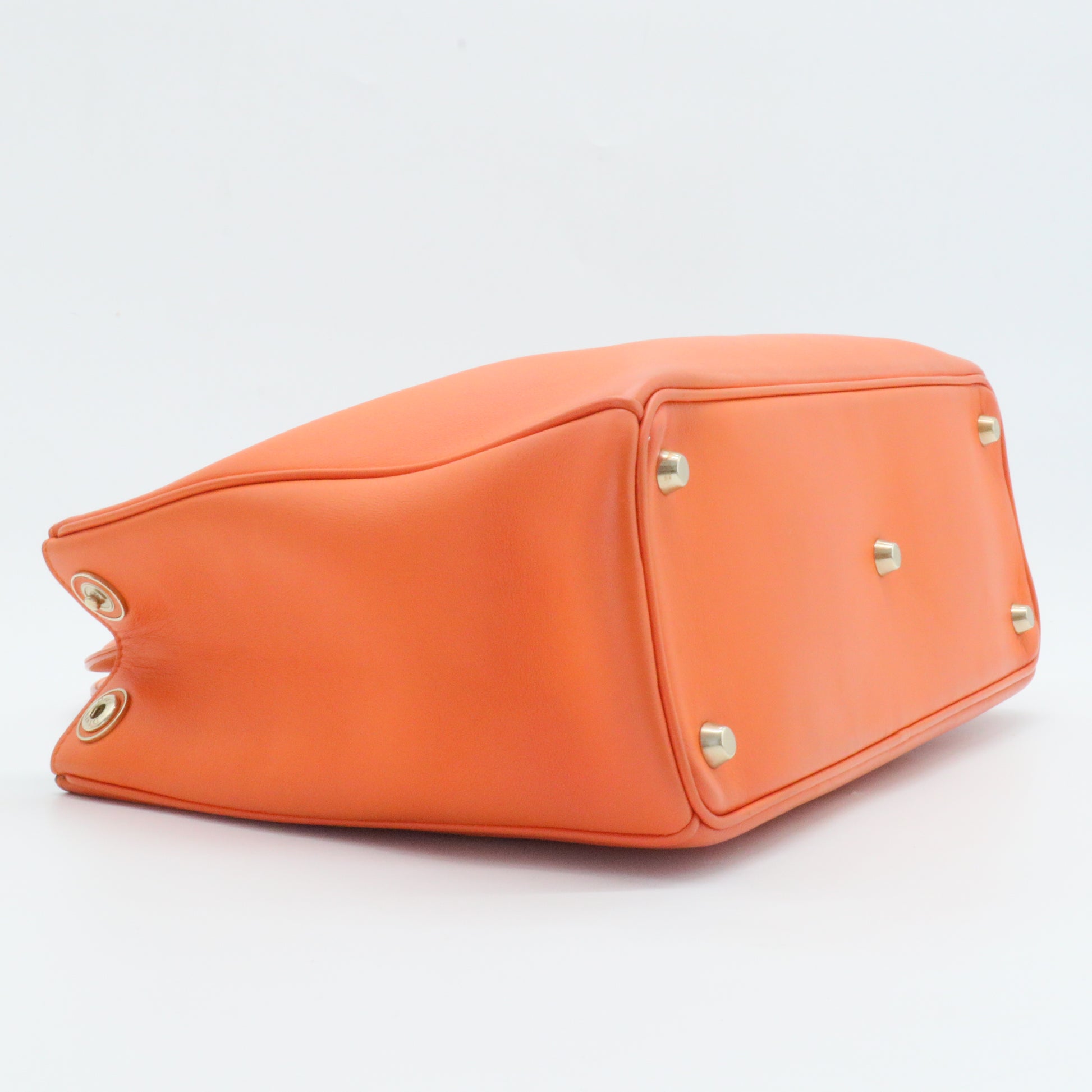Leather Diorissimo Medium
