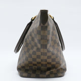 Saleya Handbag Damier PM