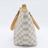 Saleya Handbag Damier PM