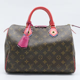 Speedy Handbag Limited Edition Totem Monogram Canvas 30