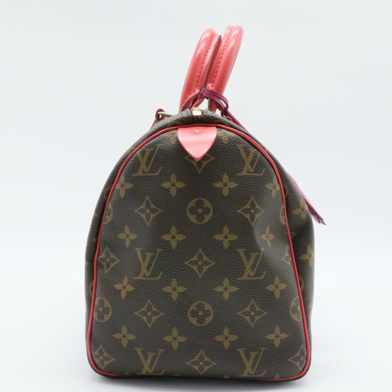 Speedy Handbag Limited Edition Totem Monogram Canvas 30