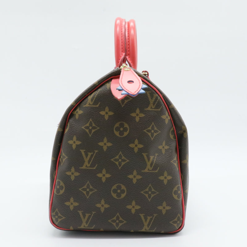 Speedy Handbag Limited Edition Totem Monogram Canvas 30