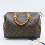 Speedy Handbag Monogram Canvas 30