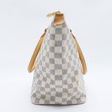 Saleya Handbag Damier