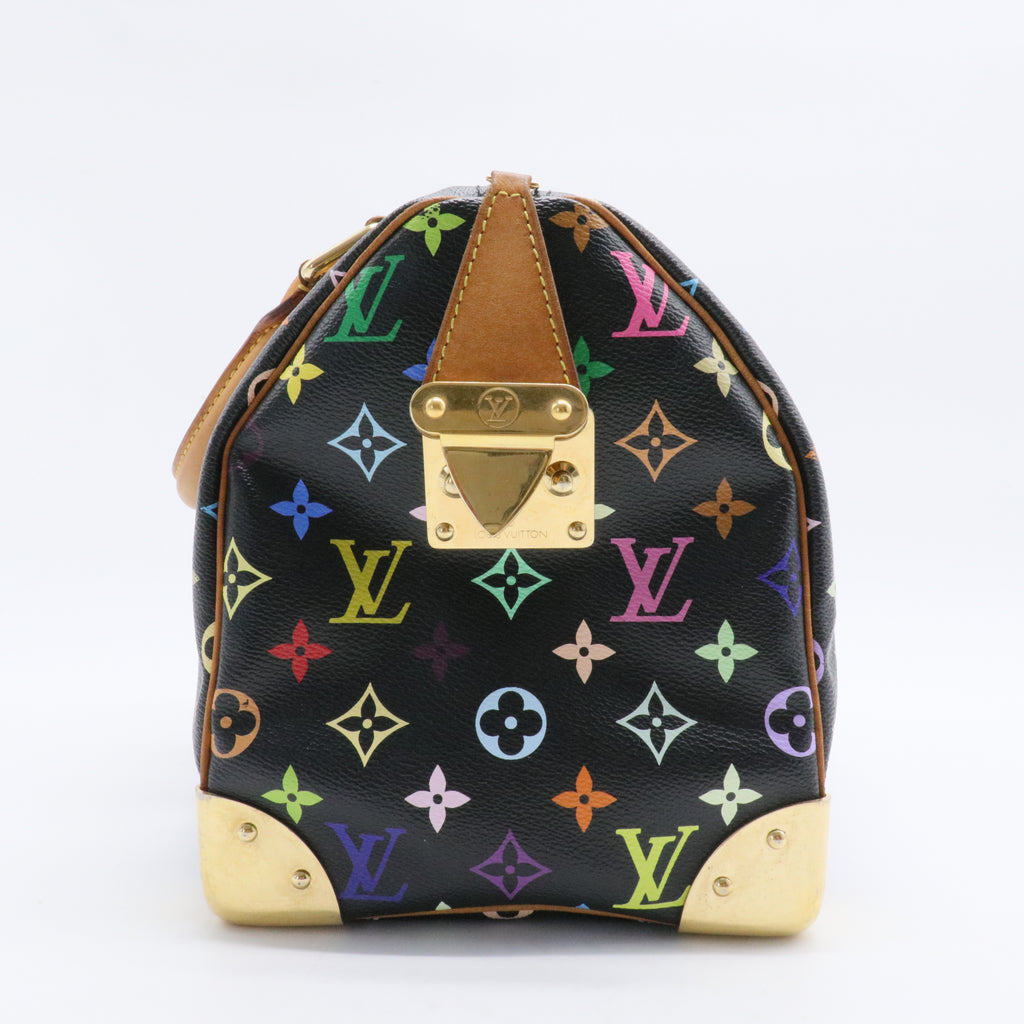Speedy Handbag Monogram Multicolor 30