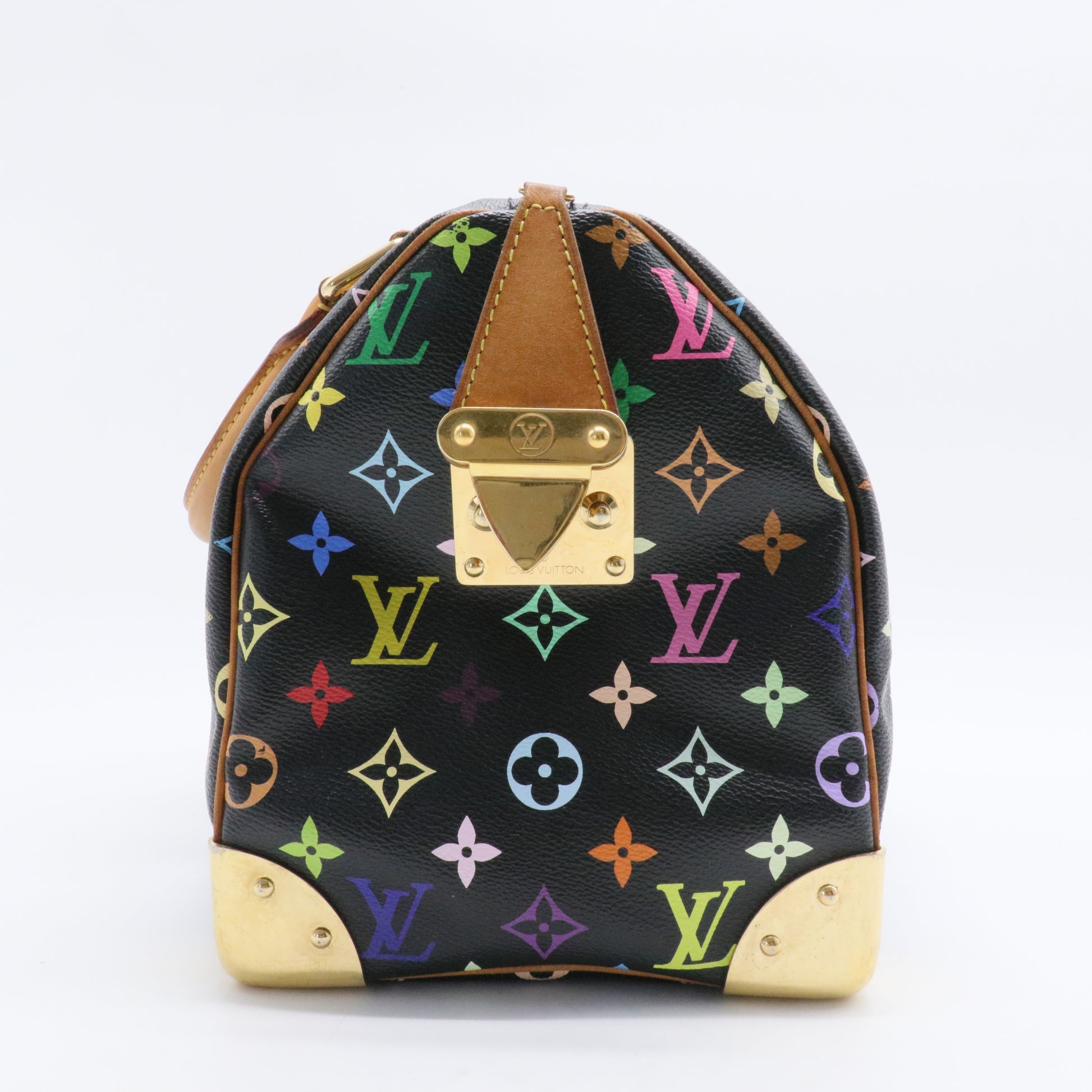 Speedy Handbag Monogram Multicolor 30