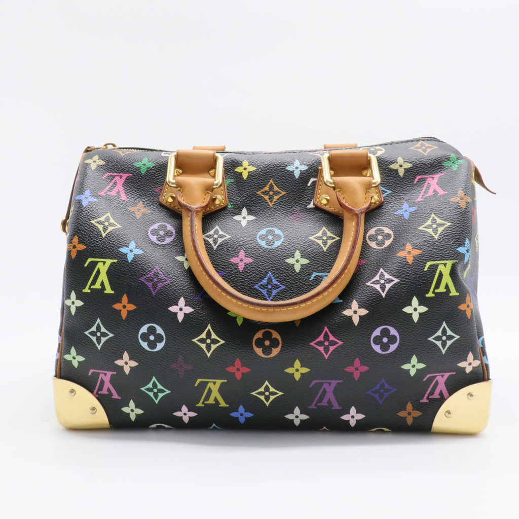 Speedy Handbag Monogram Multicolor 30