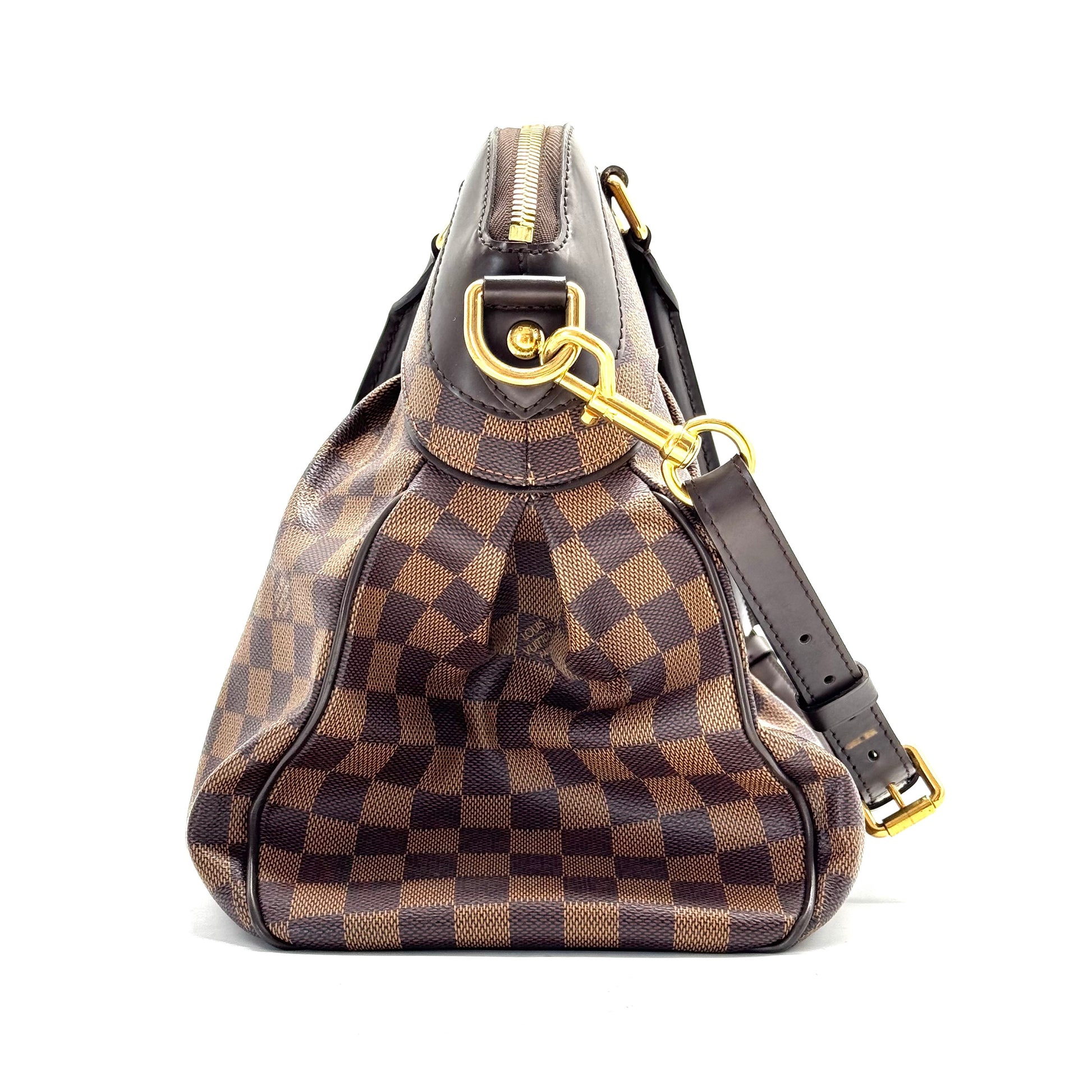 Trevi Handbag Damier GM