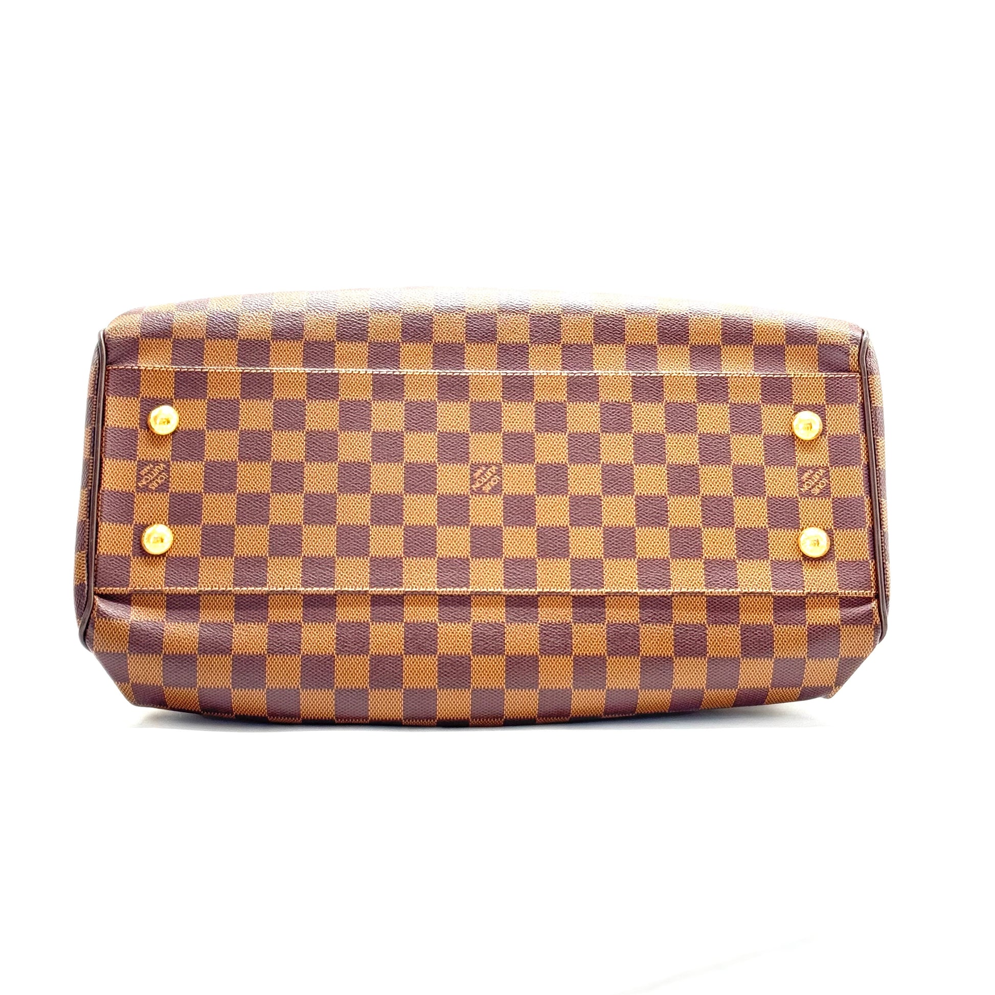 Trevi Handbag Damier GM
