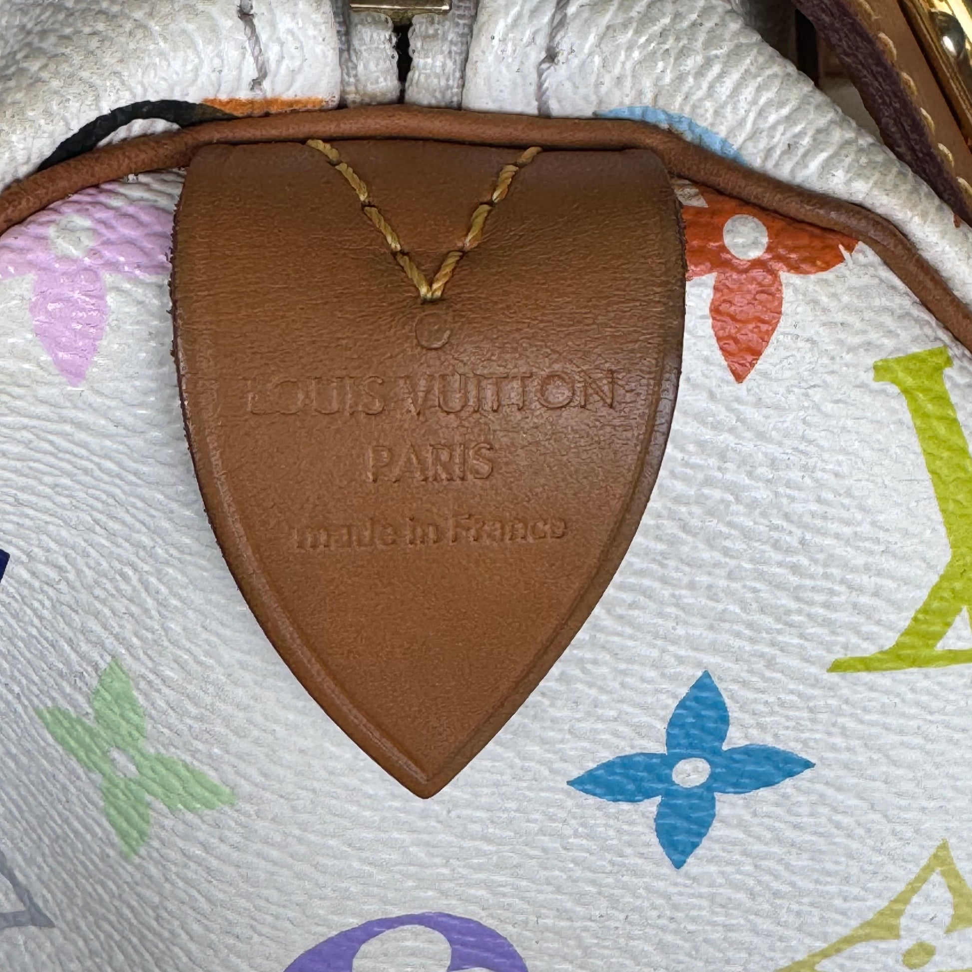 Speedy Handbag Monogram Multicolor 30