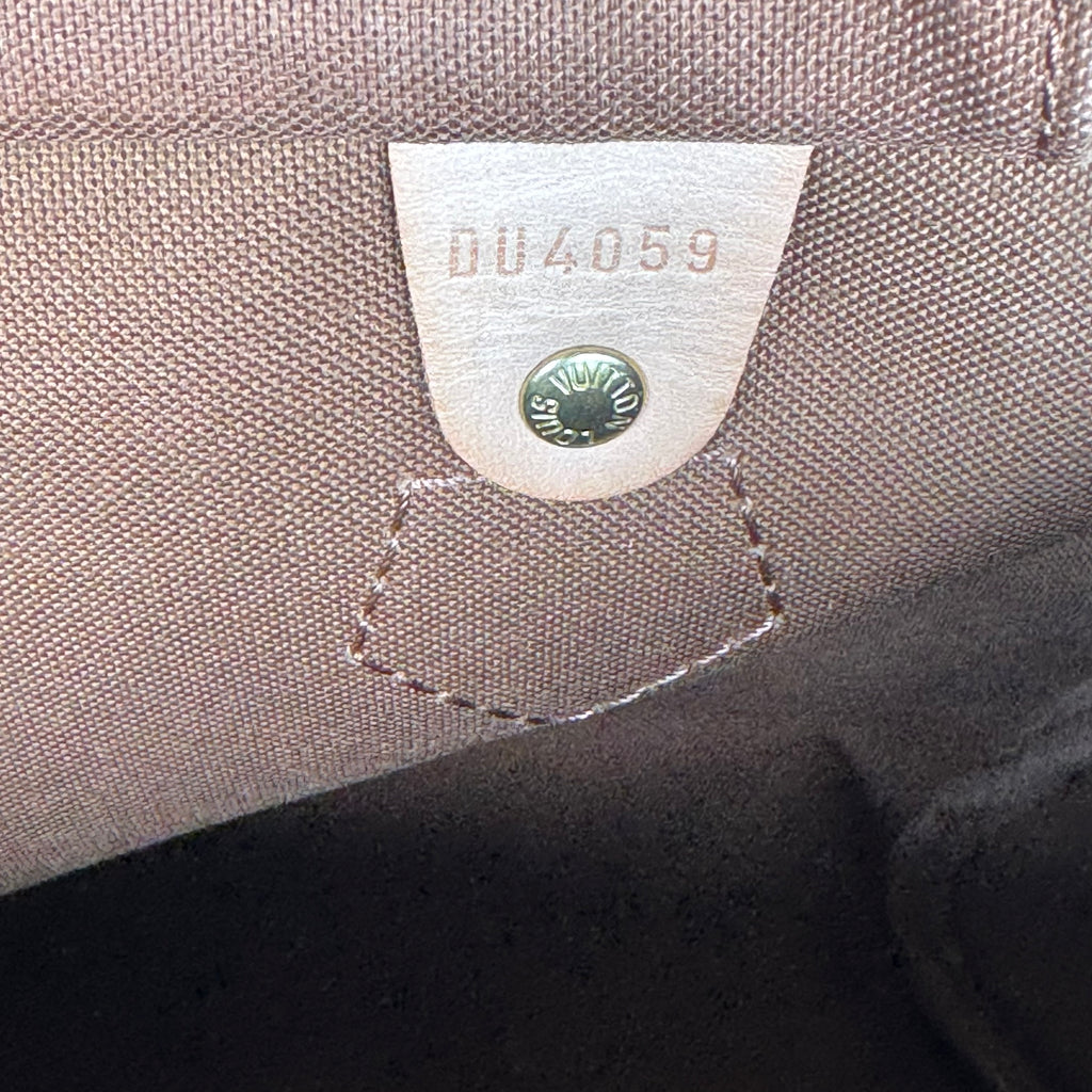 Speedy Handbag Monogram Canvas 30