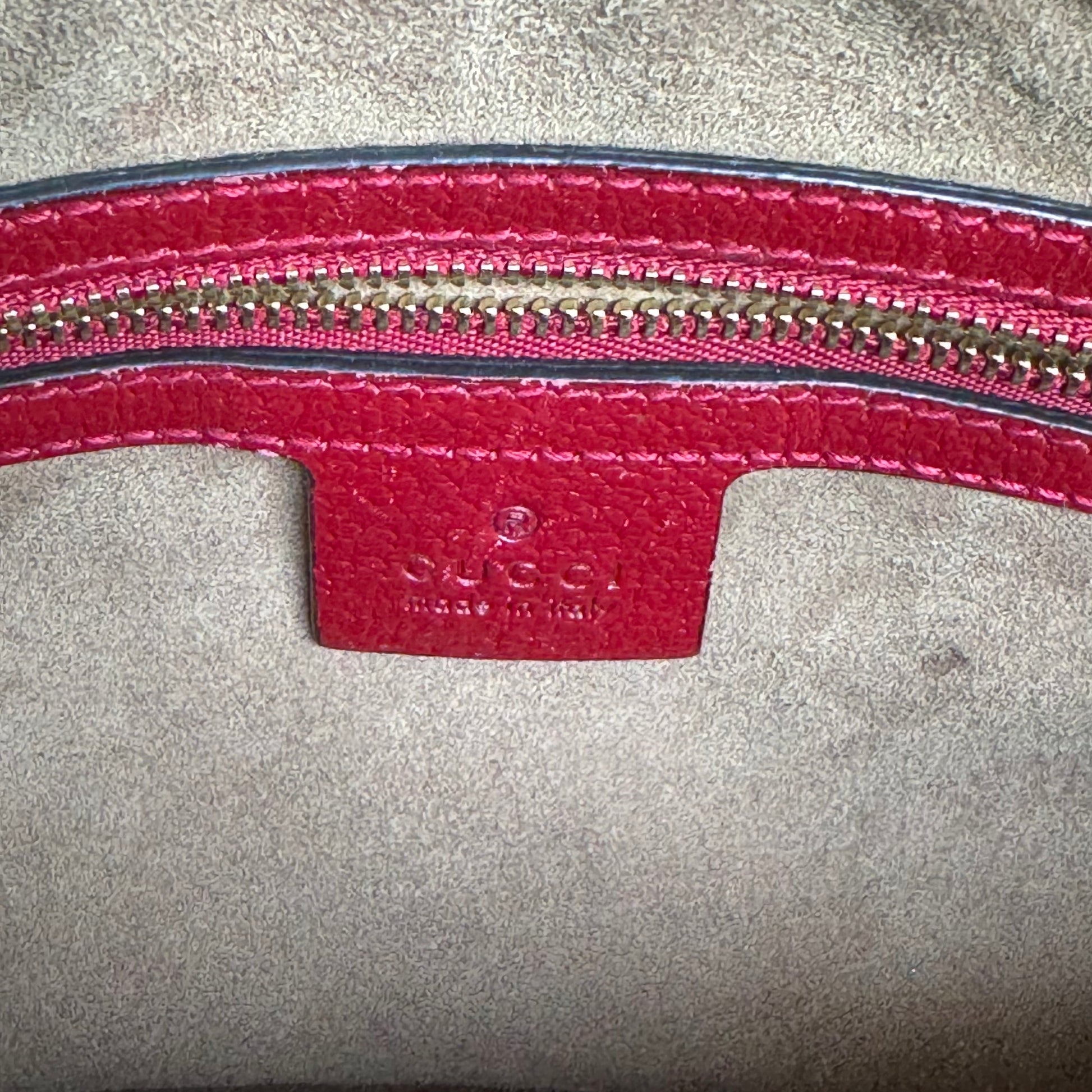 GG Supreme Monogram Tian Small