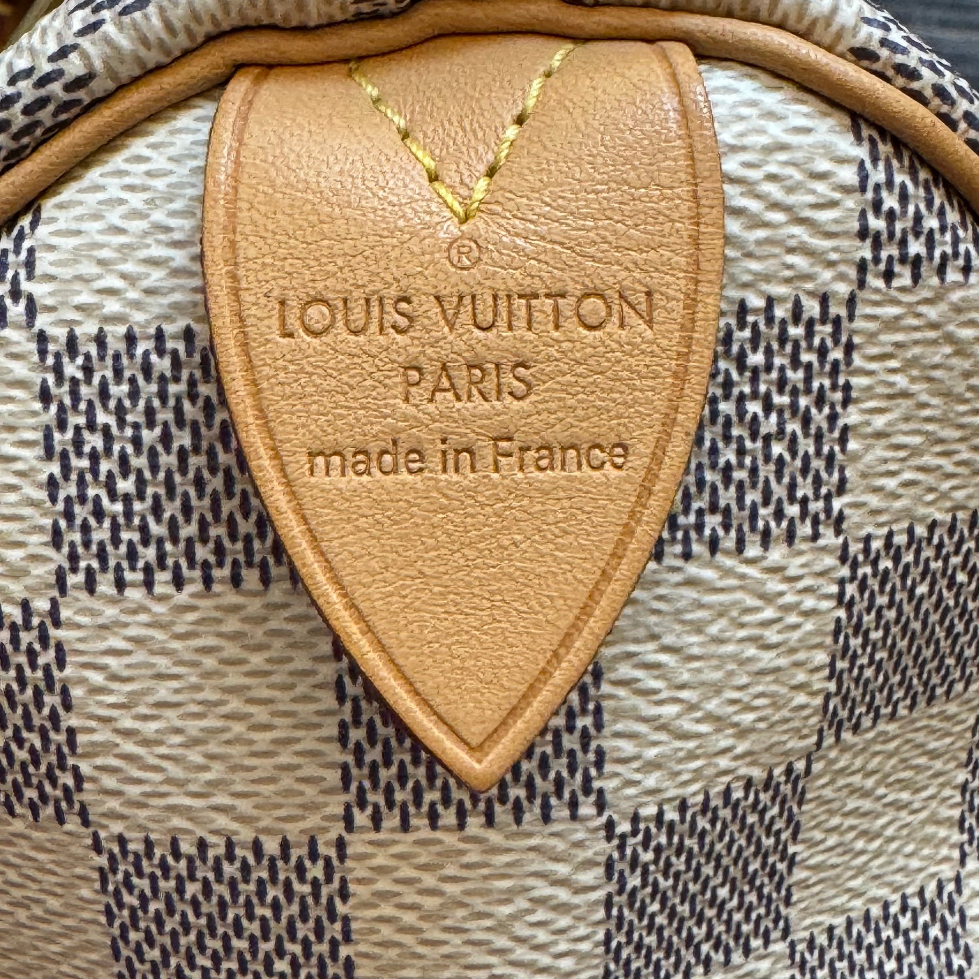 Speedy Handbag Damier 25