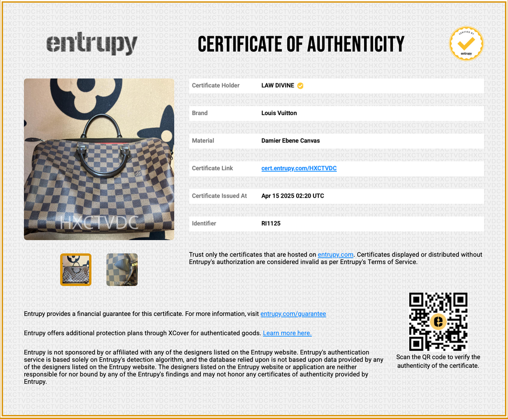 Speedy Handbag Damier 35