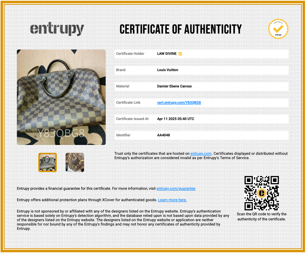 Speedy Handbag Damier 30
