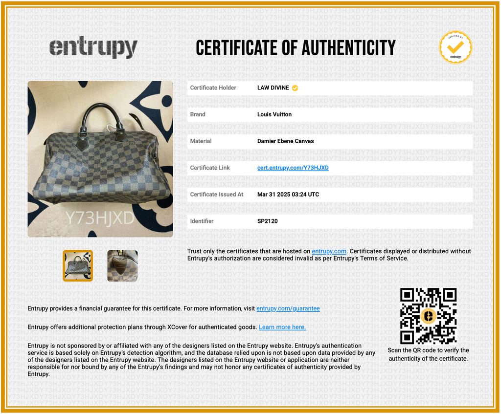 Speedy Handbag Damier 30