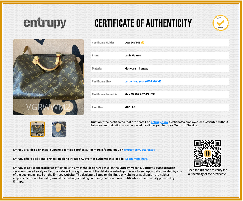 Speedy Handbag Monogram Canvas 30