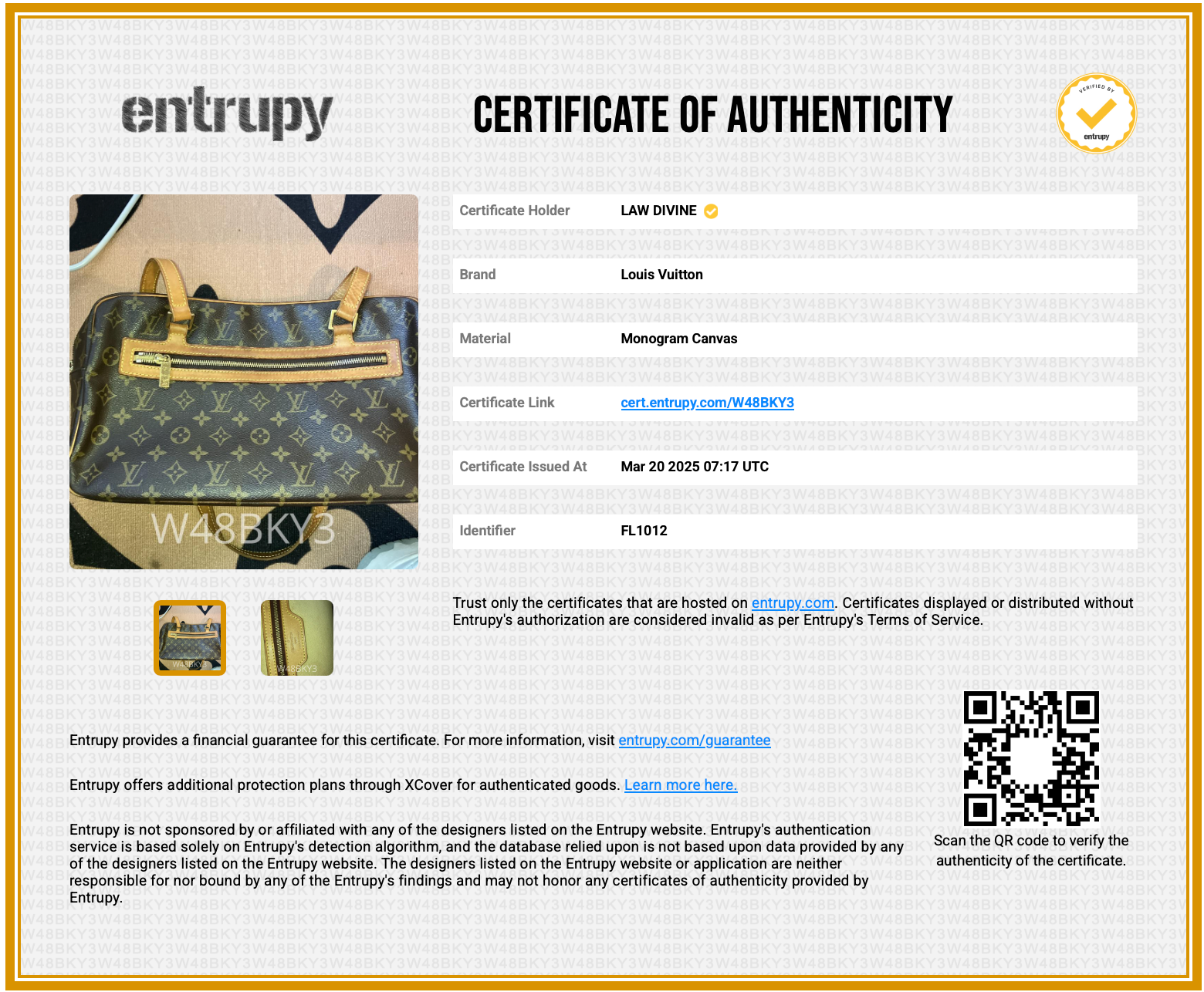 Cite Handbag Monogram Canvas GM