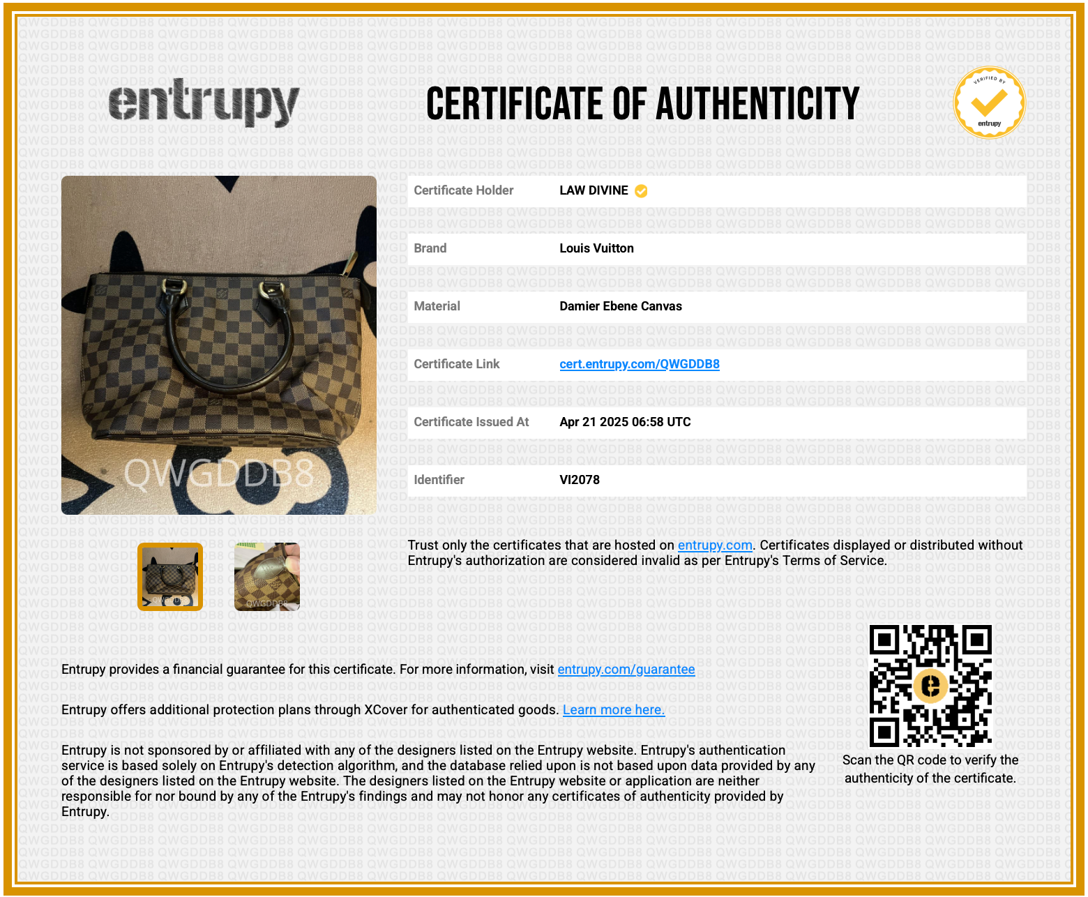 Saleya Handbag Damier PM
