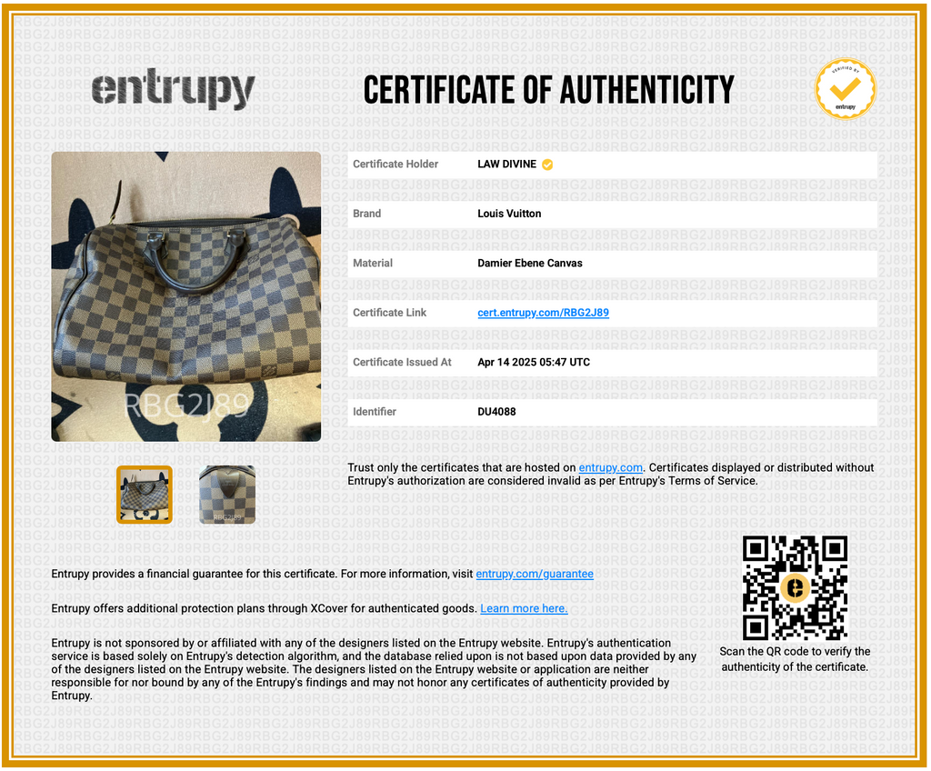 Speedy Handbag Damier 30